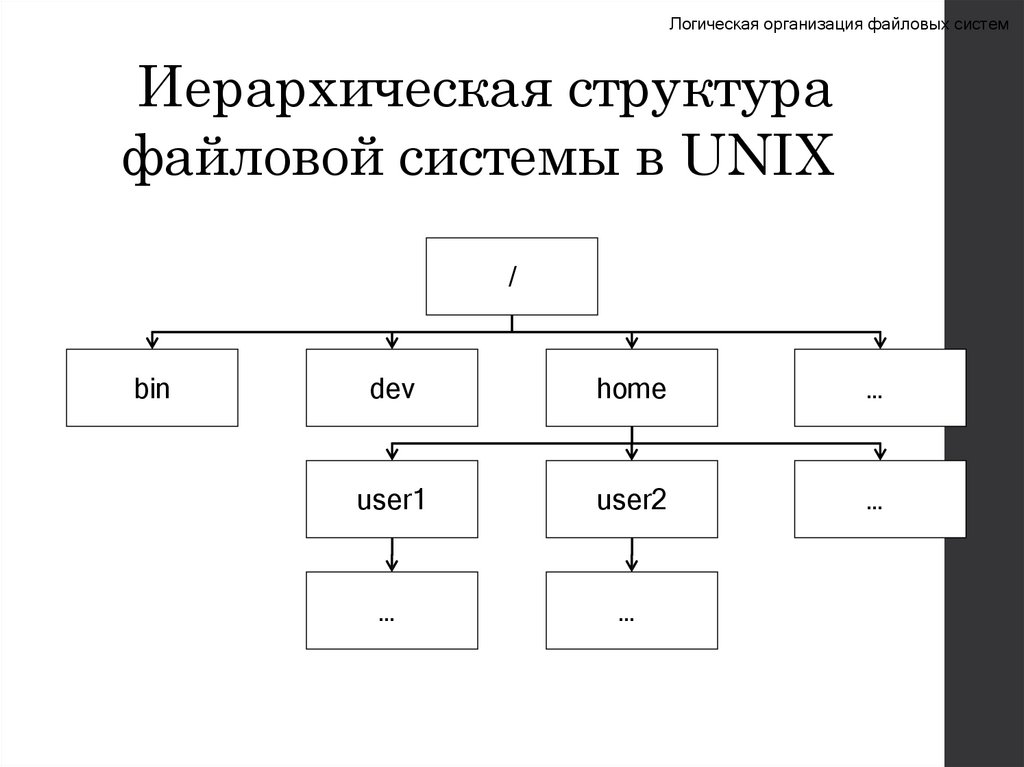 Иерархическая структура файловой системы в UNIX
