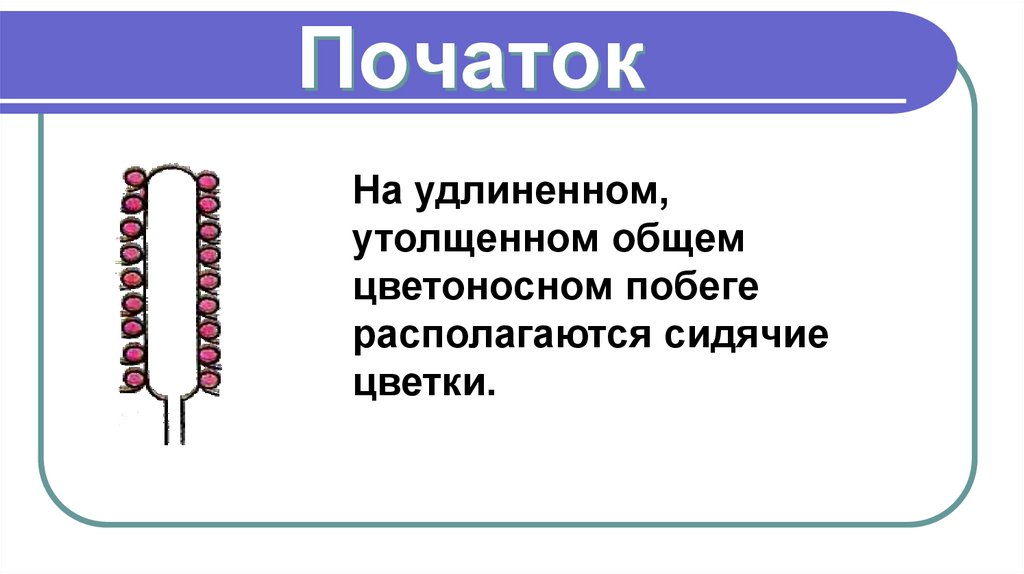 Початок