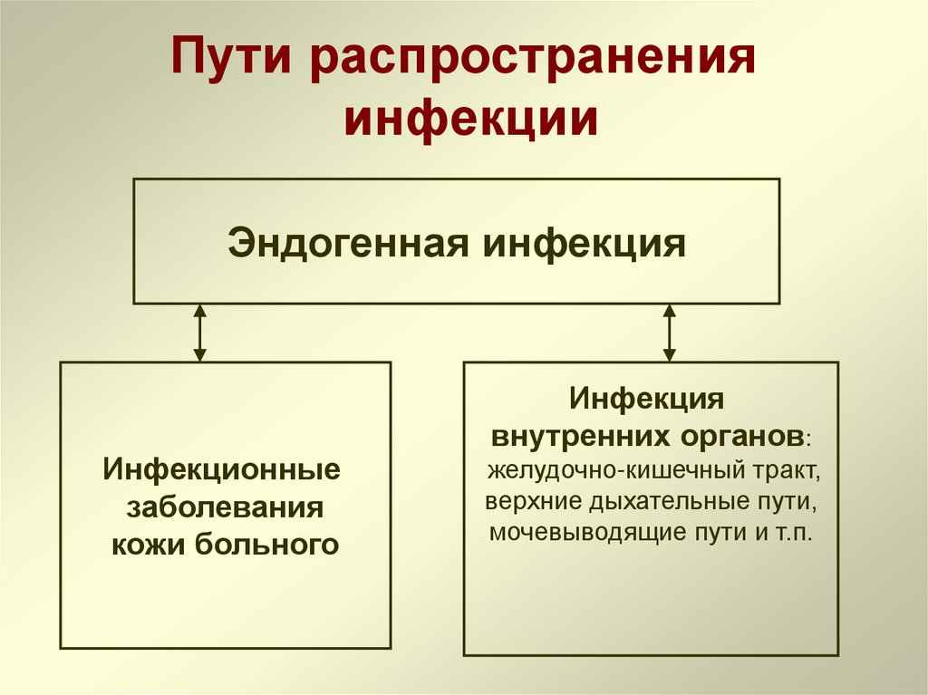 Пути распространения инфекции