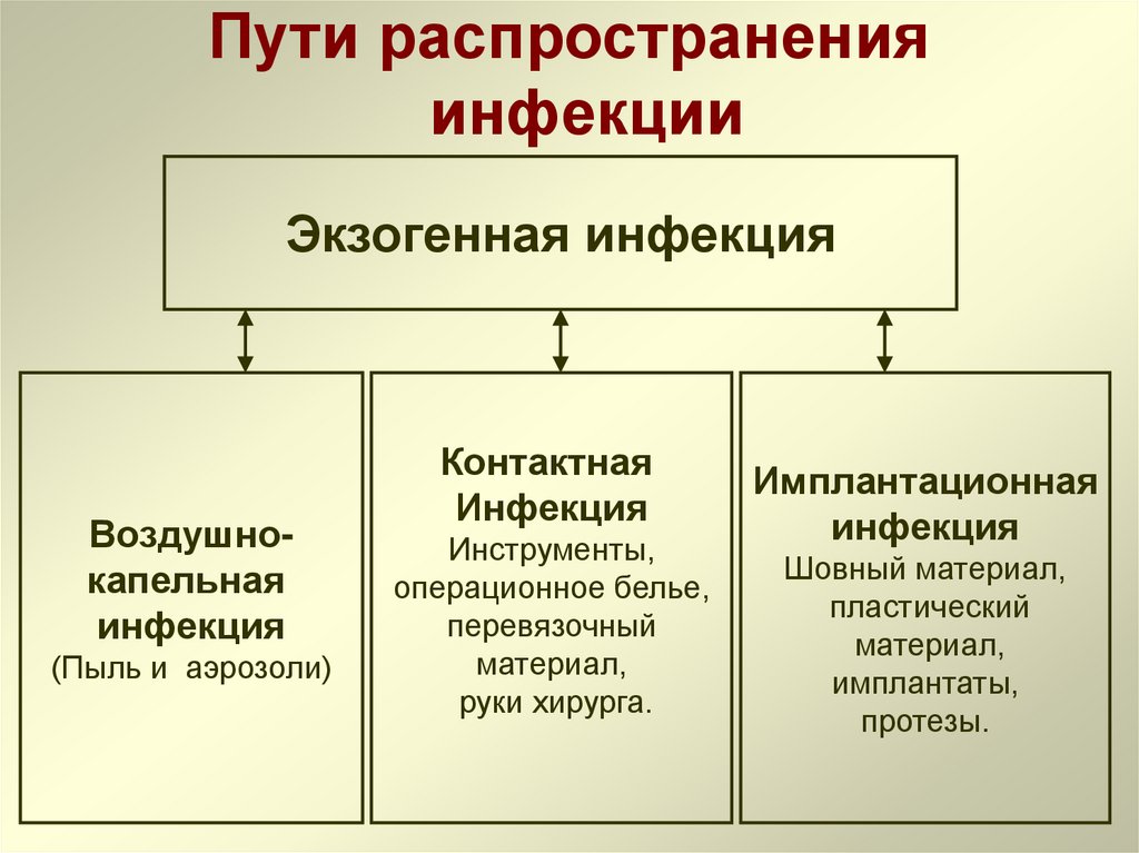 Пути распространения инфекции