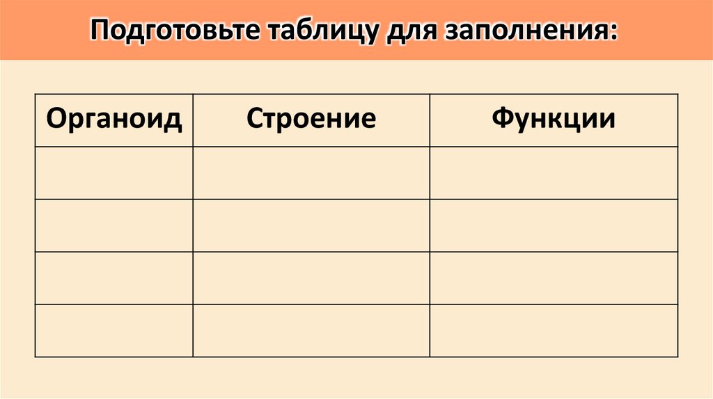 Подготовьте таблицу для заполнения: