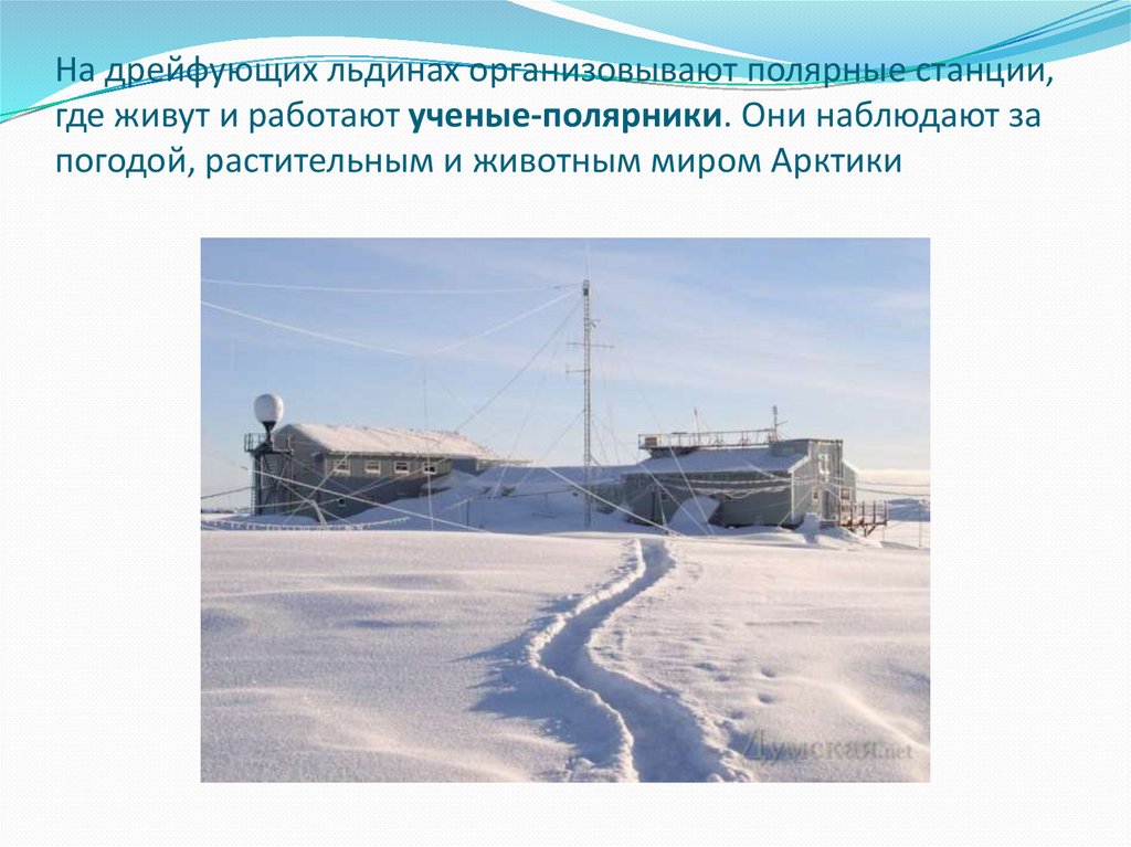 На дрей­фу­ю­щих льди­нах ор­га­ни­зо­вы­ва­ют по­ляр­ные стан­ции, где живут и ра­бо­та­ют уче­ные-по­ляр­ни­ки. Они
