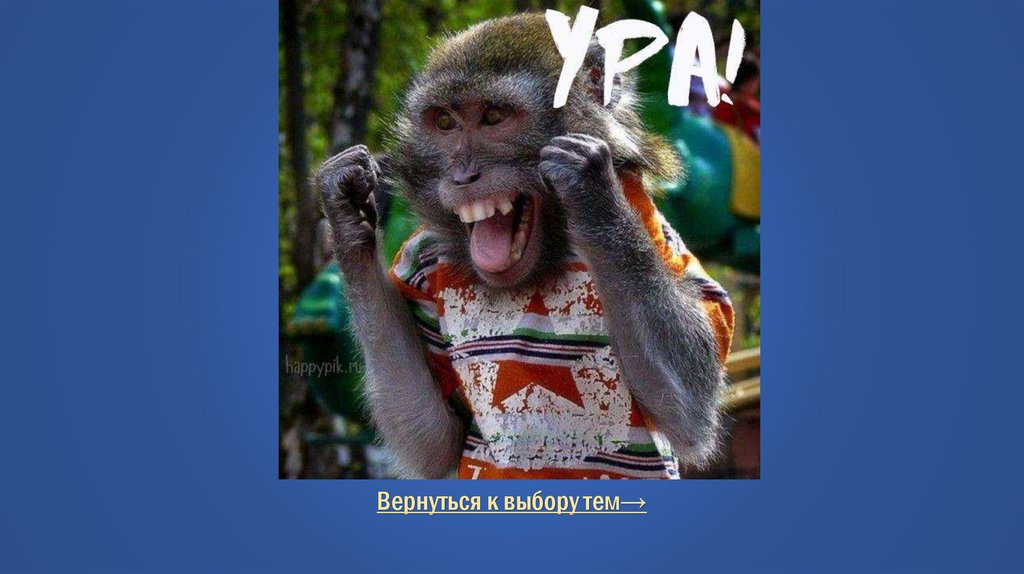 Правильный ответ