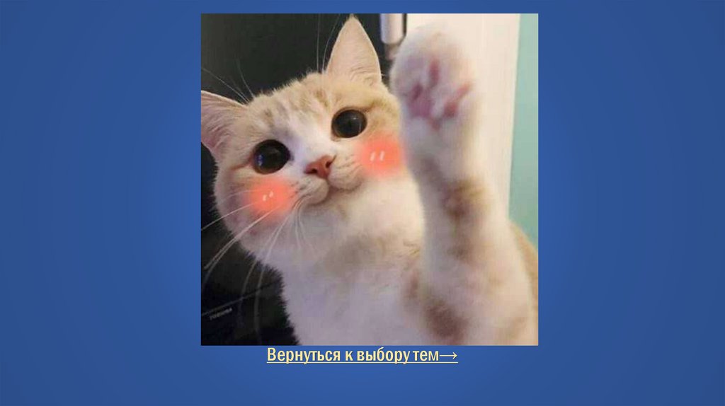 Правильный ответ В ворота сборной Франции