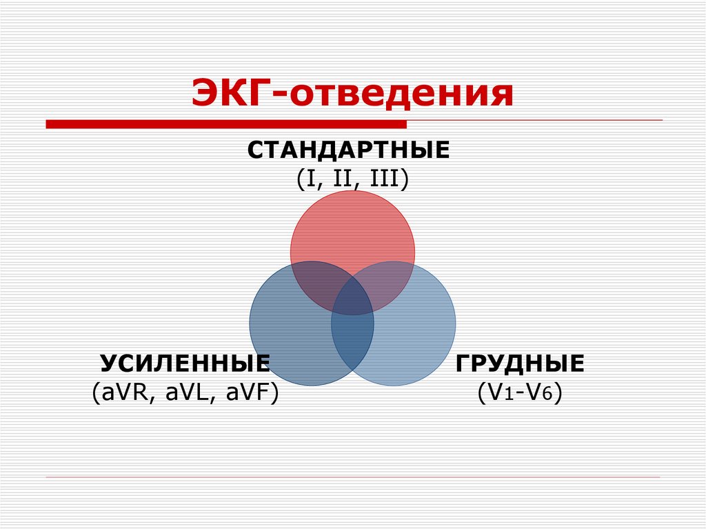 ЭКГ-отведения