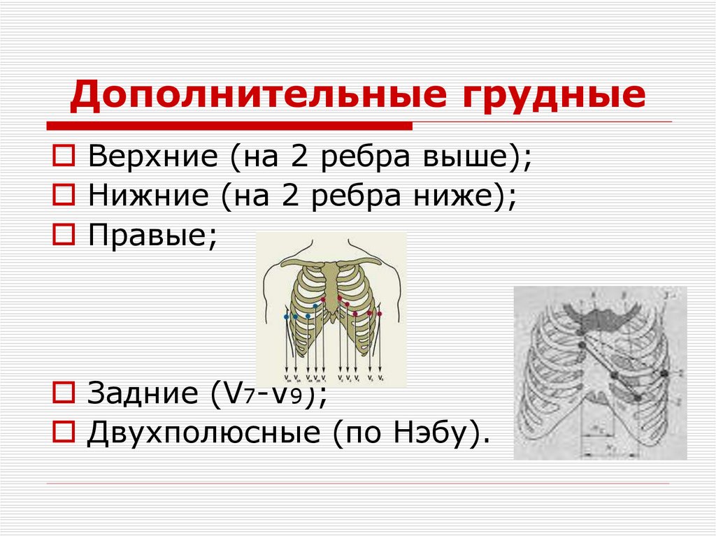 Дополнительные грудные