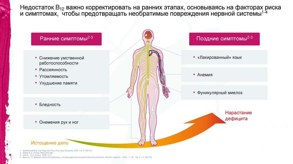 Недостаток В12 важно корректировать на ранних этапах, основываясь на факторах риска и симптомах, чтобы предотвращать