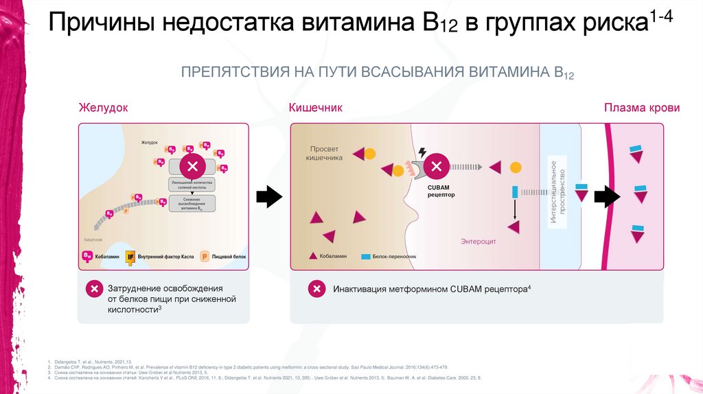 Причины недостатка витамина В12 в группах риска1-4