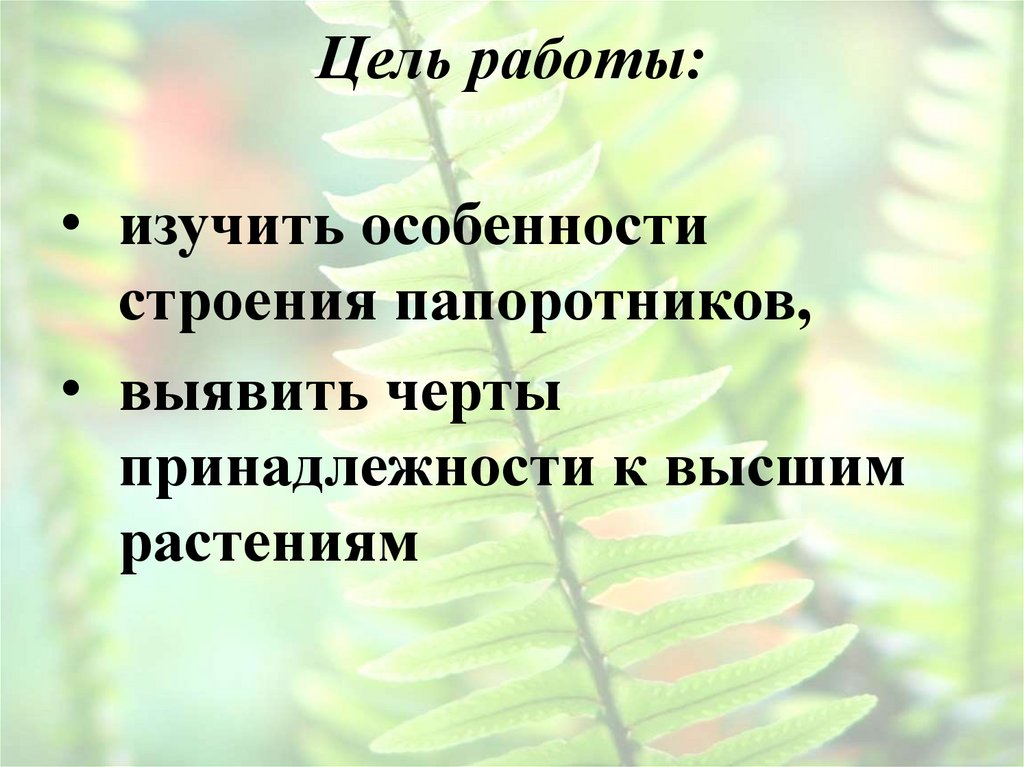 Цель работы: