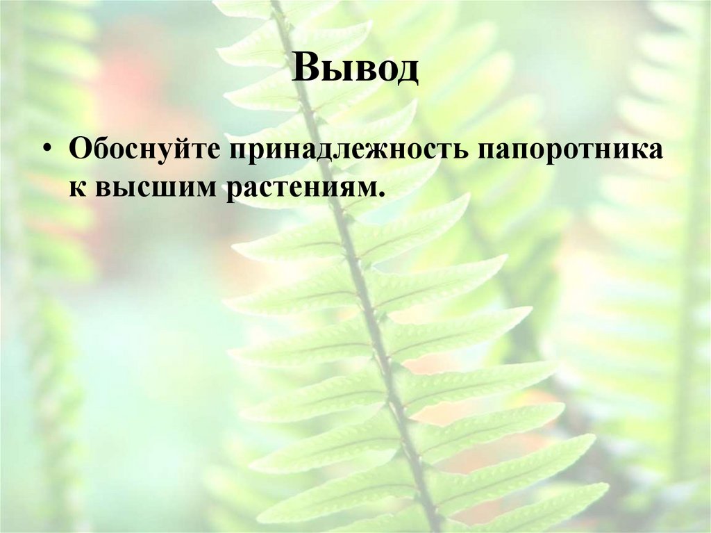 Вывод
