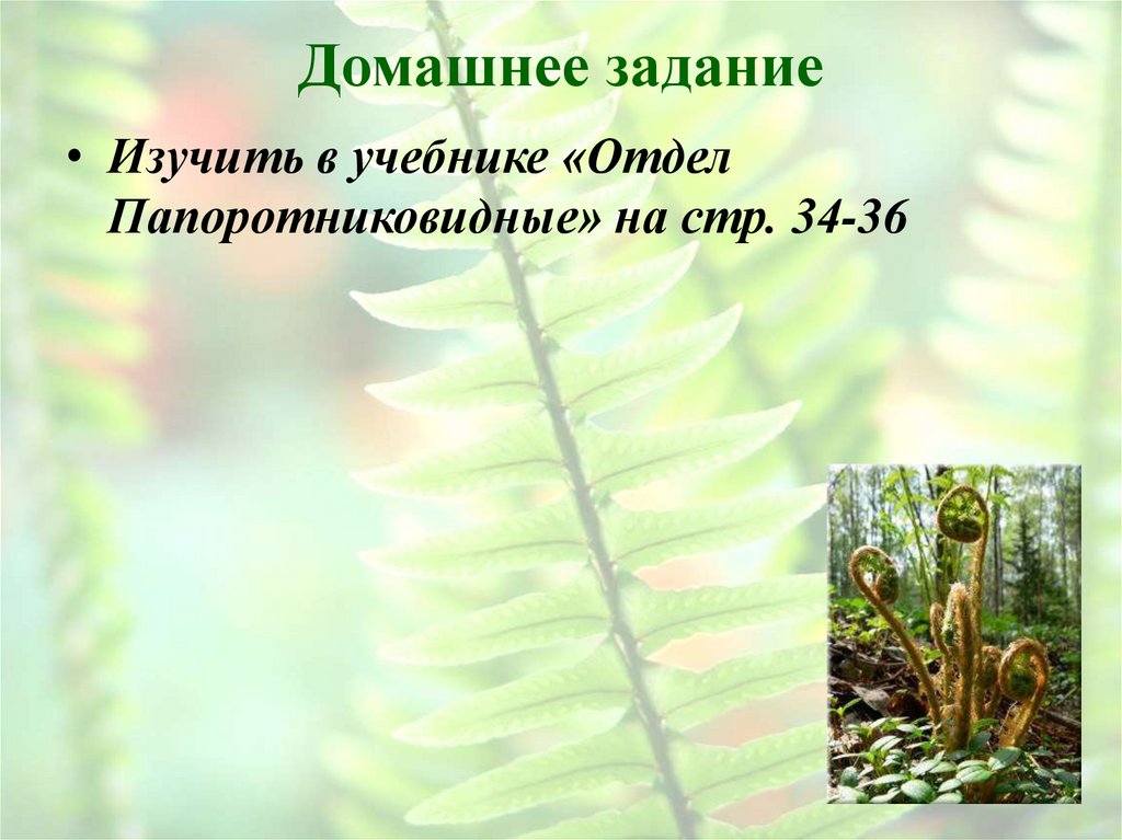 Домашнее задание