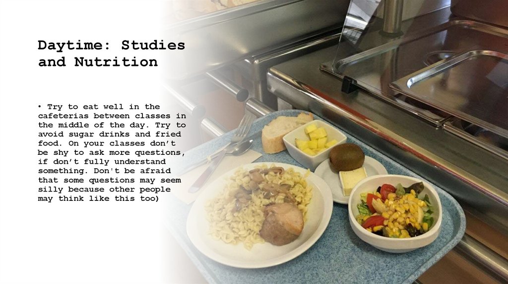 Daytime: Studies and Nutrition