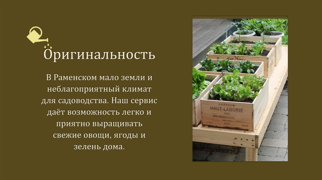 Оригинальность