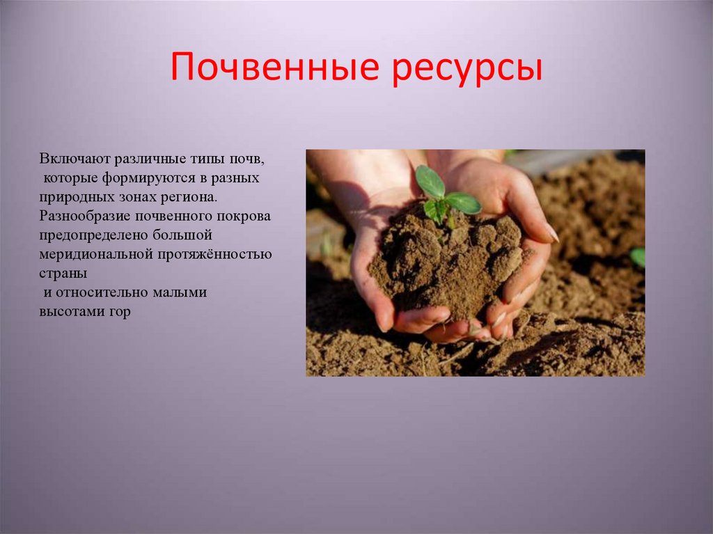 Почвенные ресурсы