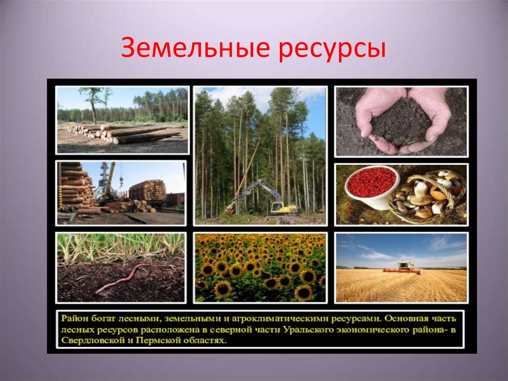 Земельные ресурсы