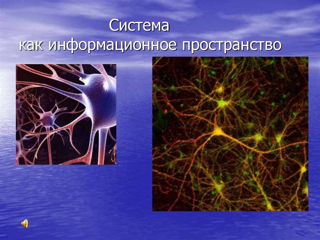 Система как информационное пространство