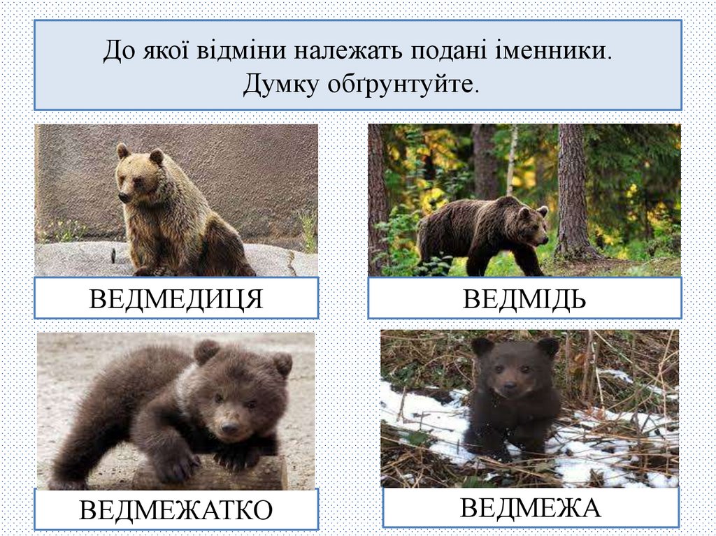 До якої відміни належать подані іменники. Думку обґрунтуйте.