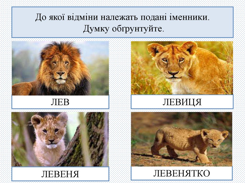 До якої відміни належать подані іменники. Думку обґрунтуйте.