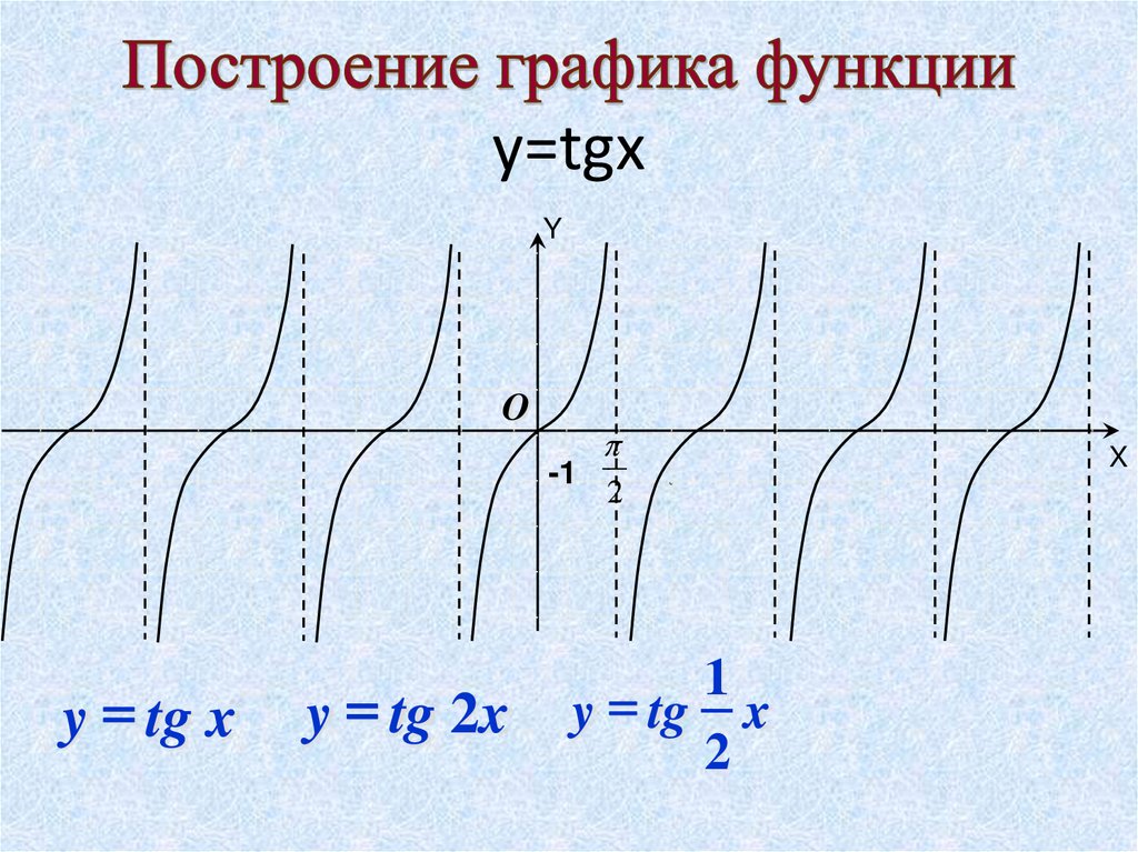 Построение графика функции y=tgx