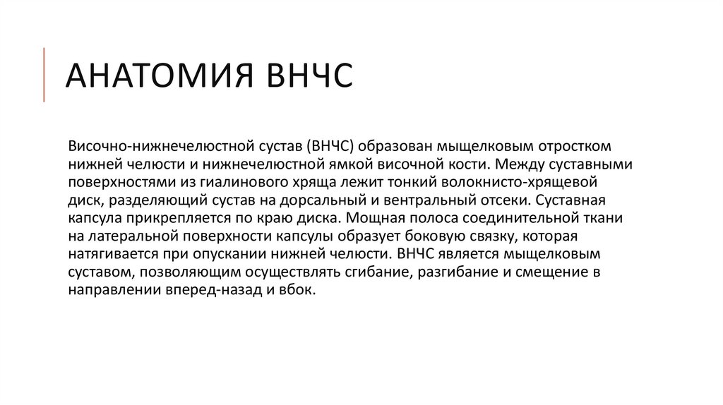 Анатомия внчс