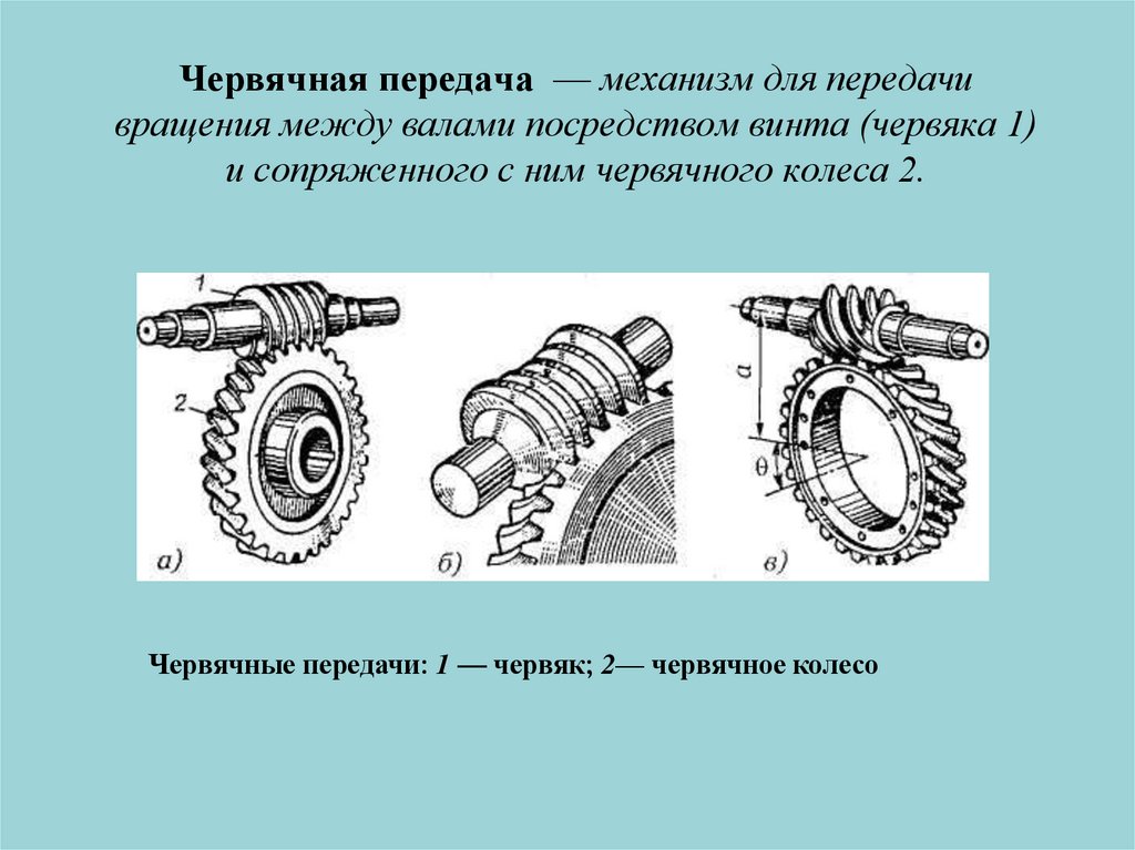 Червячная передача — механизм для передачи вращения между валами посредством винта (червяка 1) и сопряженного с ним червячного