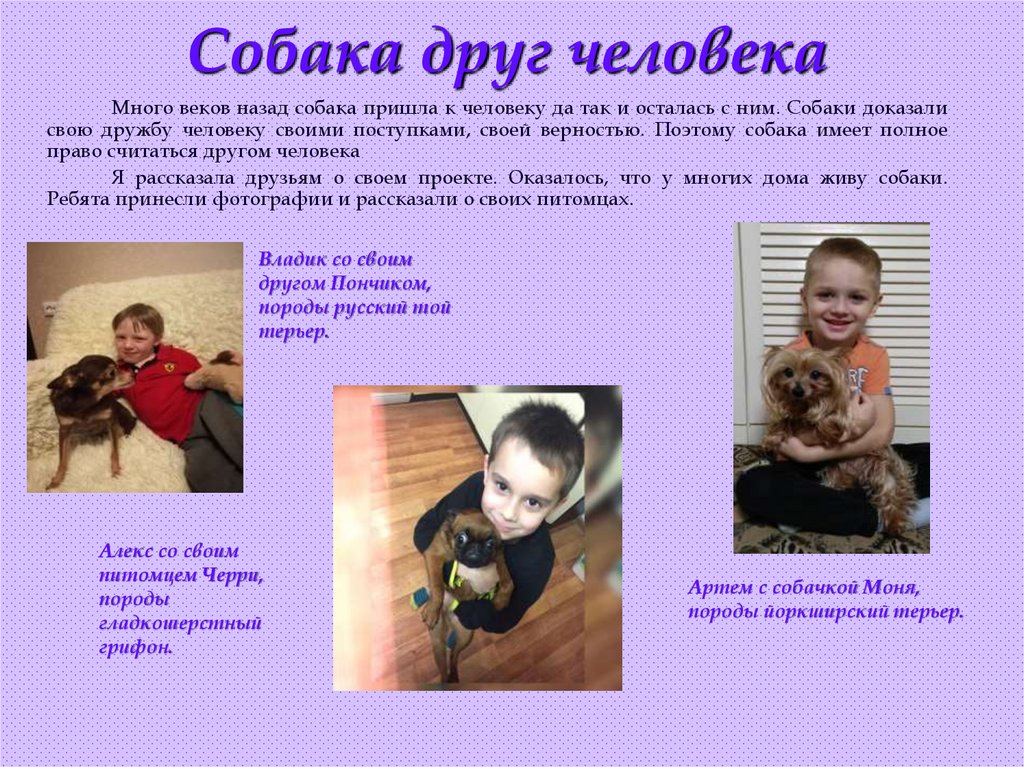 Собака друг человека