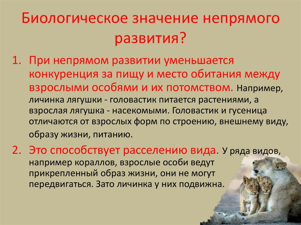 Биологическое значение непрямого развития?