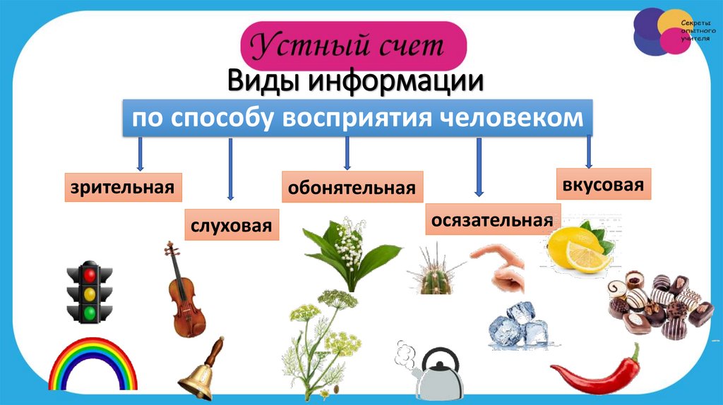 по способу восприятия человеком