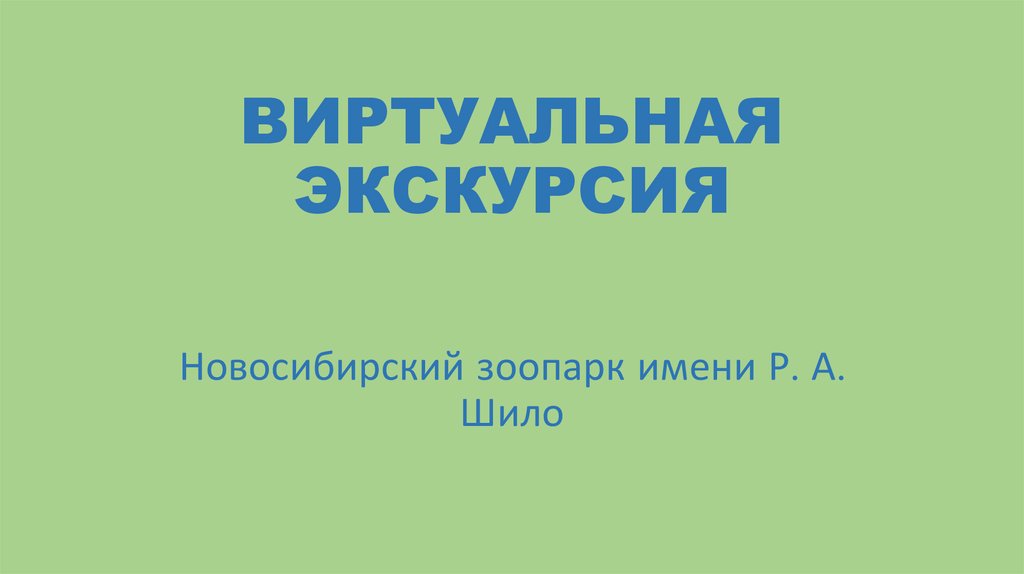 ВИРТУАЛЬНАЯ ЭКСКУРСИЯ