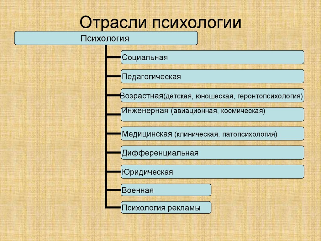 Отрасли психологии