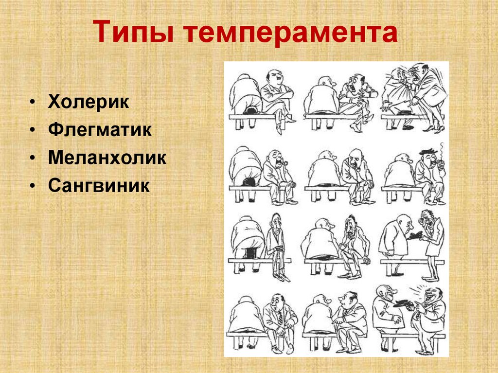 Типы темперамента