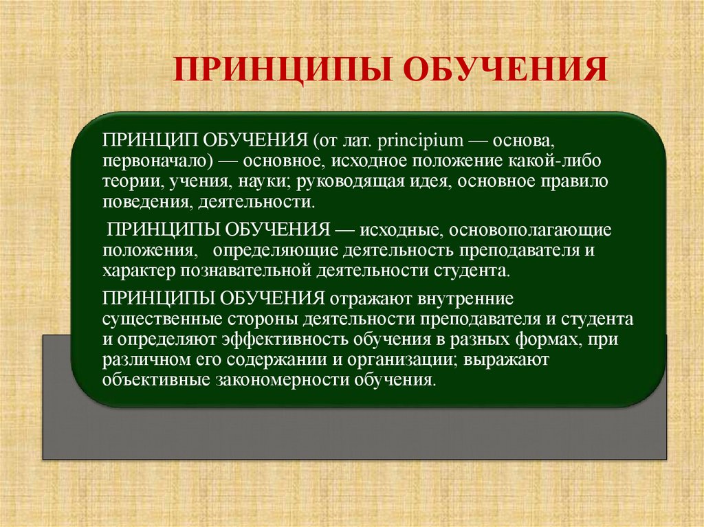 ПРИНЦИПЫ ОБУЧЕНИЯ