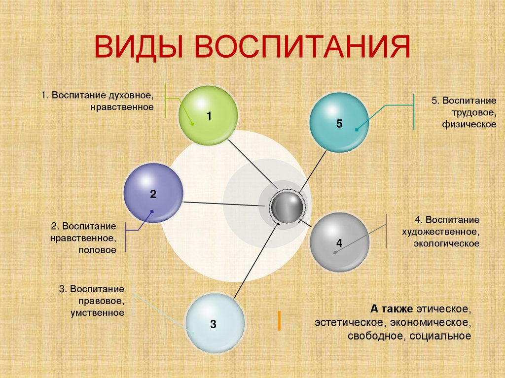 ВИДЫ ВОСПИТАНИЯ