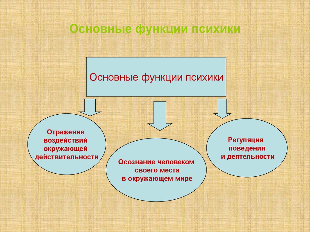 Основные функции психики