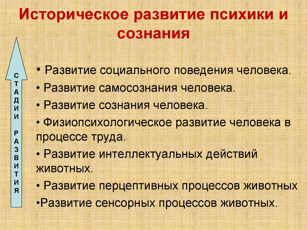 Историческое развитие психики и сознания