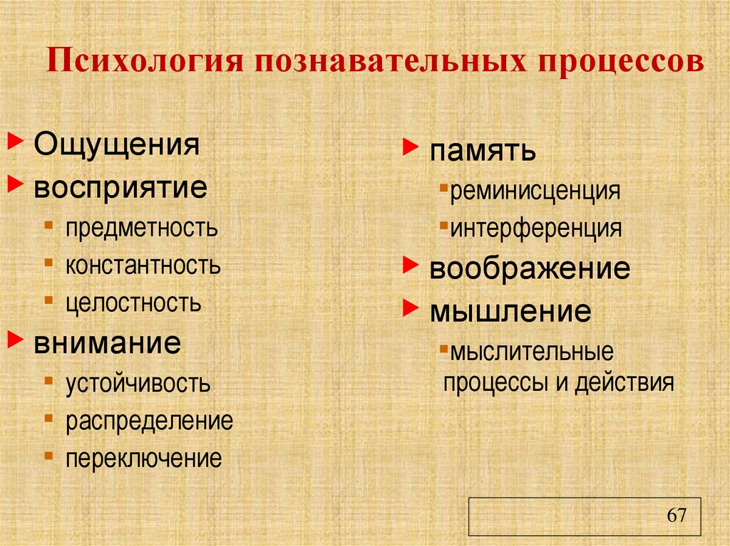 Психология познавательных процессов