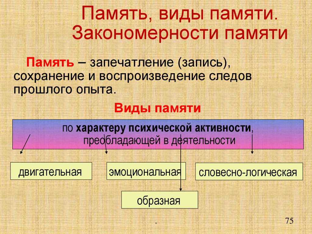 Память, виды памяти. Закономерности памяти