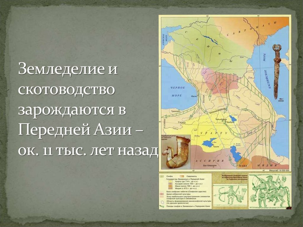 Земледелие и скотоводство зарождаются в Передней Азии – ок. 11 тыс. лет назад