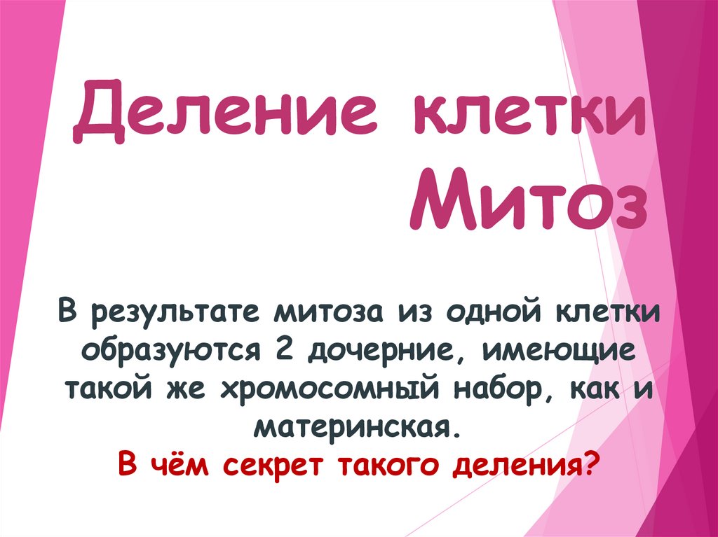 Деление клетки Митоз
