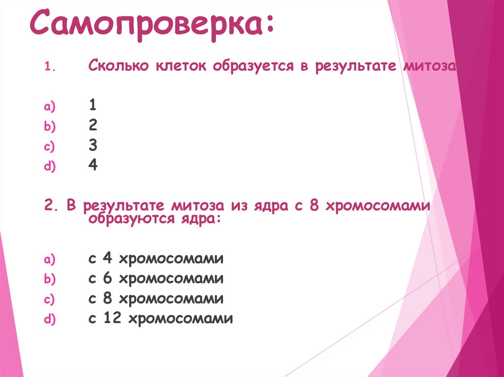 Самопроверка: