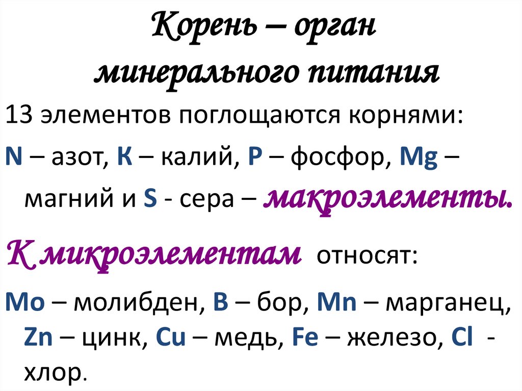 Корень – орган минерального питания