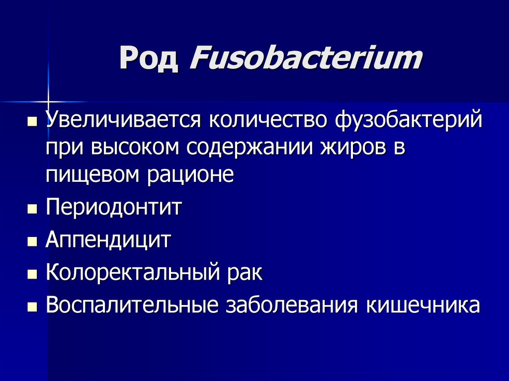Род Fusobacterium