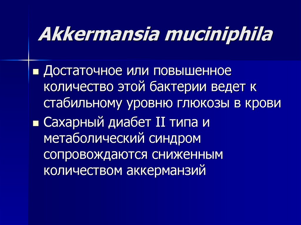 Akkermansia muciniphila