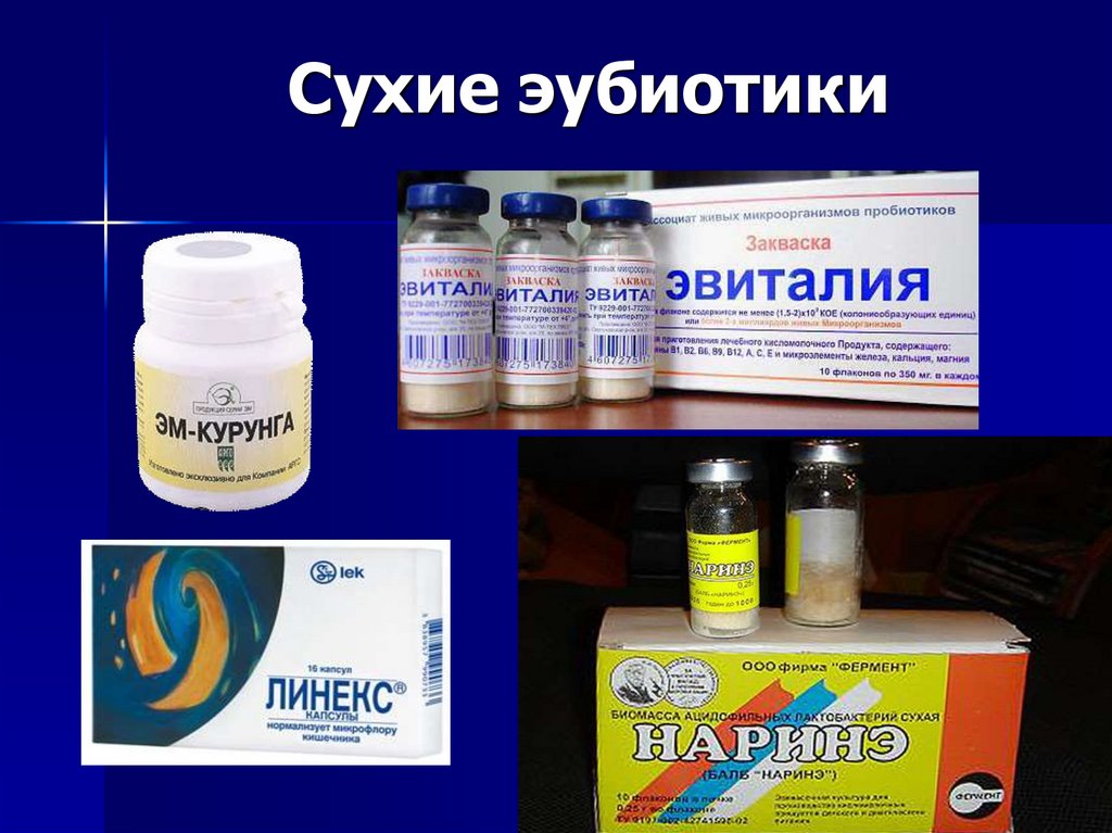 Сухие эубиотики