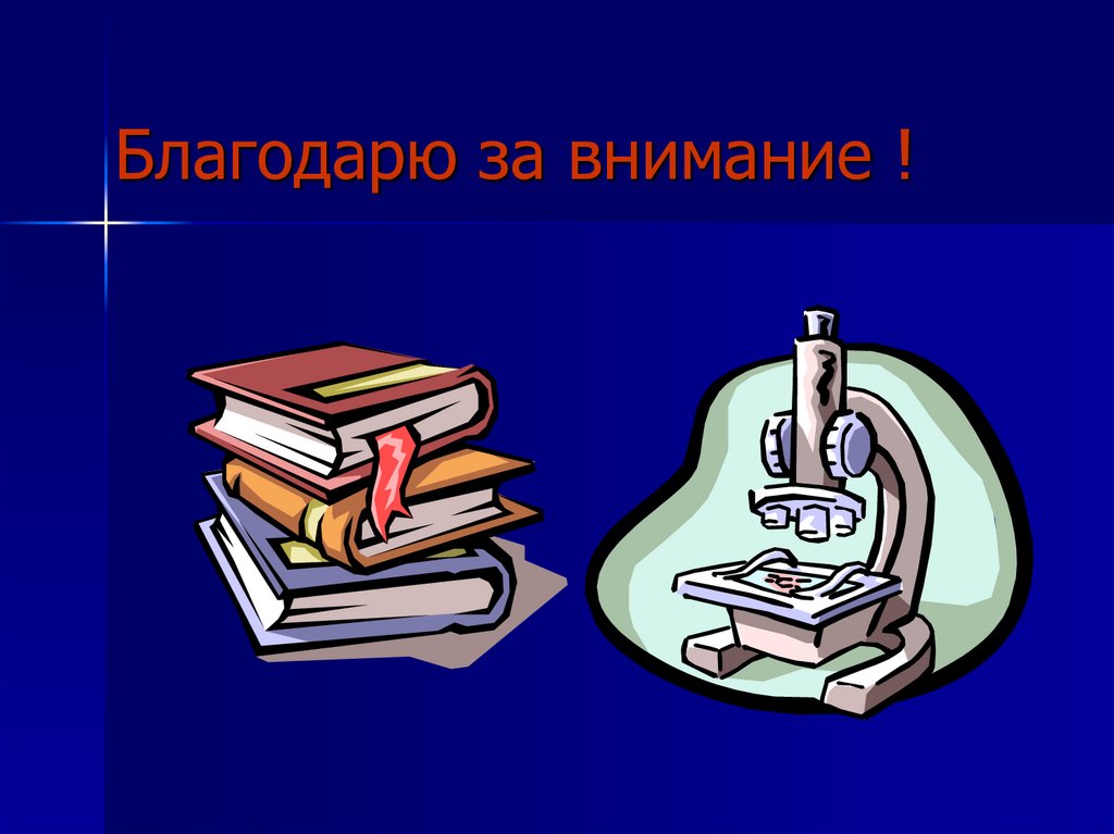 Благодарю за внимание !