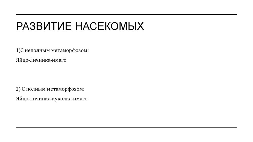 Развитие насекомых