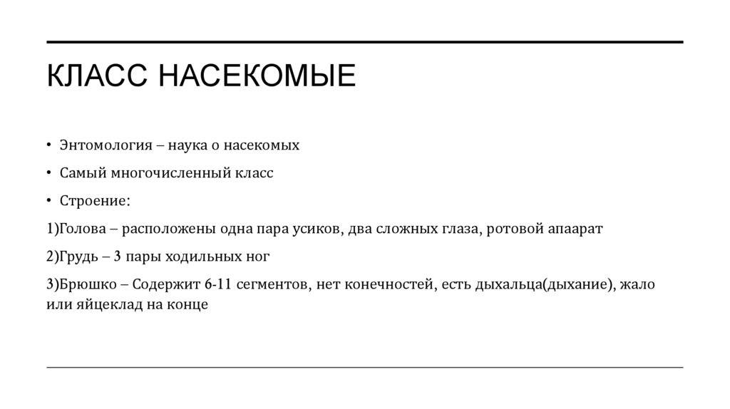 Класс насекомые