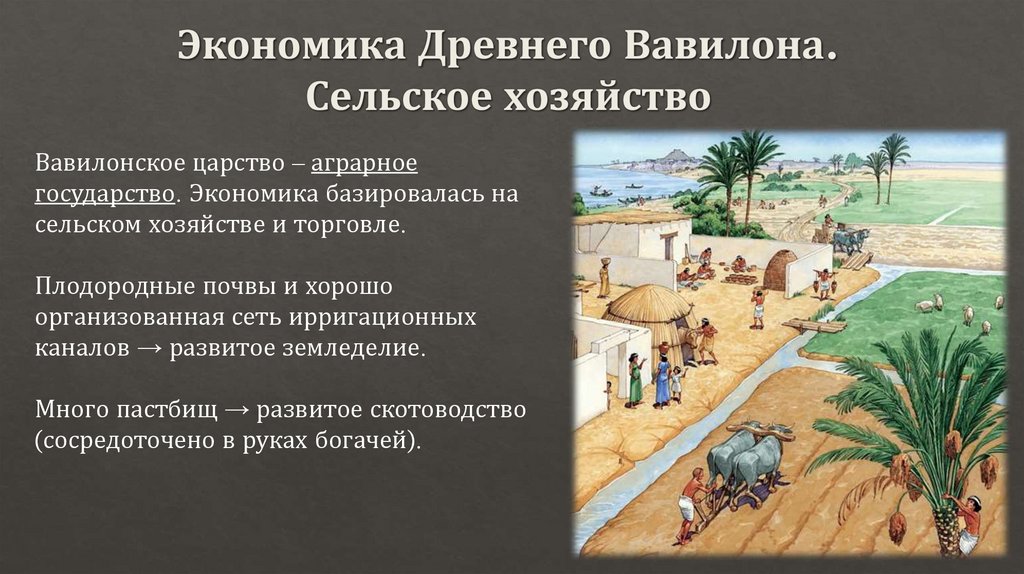 Экономика Древнего Вавилона. Сельское хозяйство