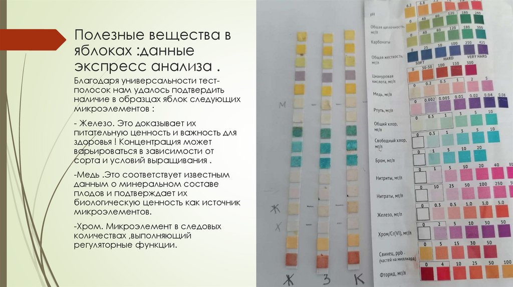 Полезные вещества в яблоках :данные экспресс анализа .