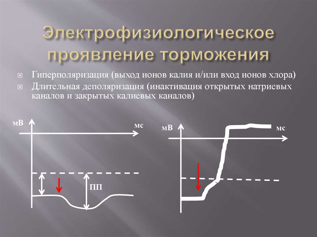 Электрофизиологическое проявление торможения